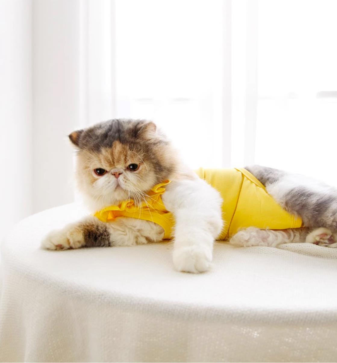 Sweet Cat Recovery Suit-5