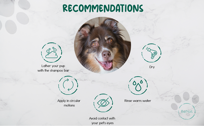 BeNat Pets. All-Natural Pet Shampoo Bar. Oat. 5.8 oz.-2