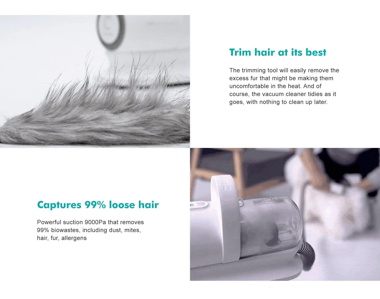 Vacuum Cleaner For Cats and Dogs-2