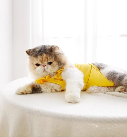 Sweet Cat Recovery Suit-5